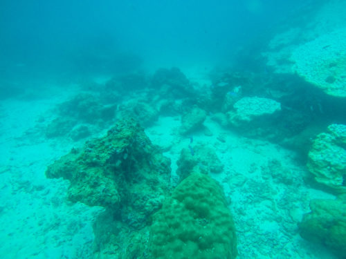 Krabi Diving-11