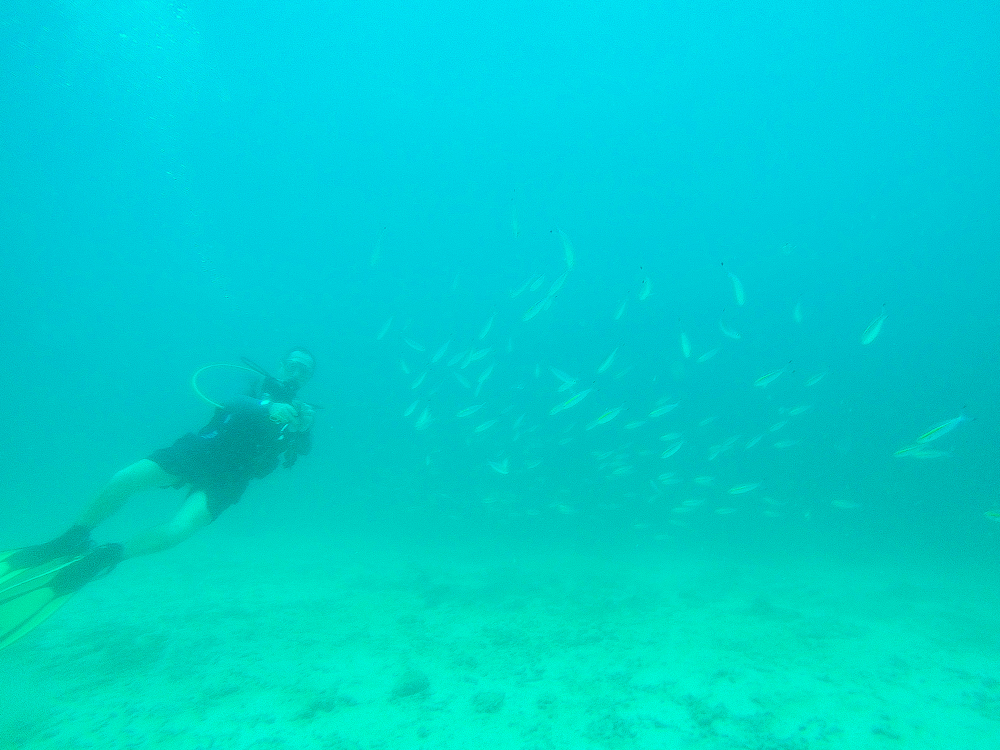 Krabi Diving-8