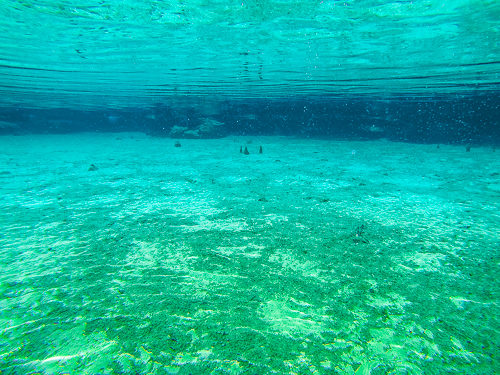 Krabi Emerald Pool