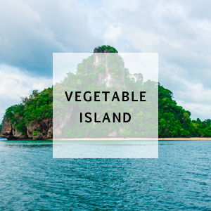 Vegetable-Island
