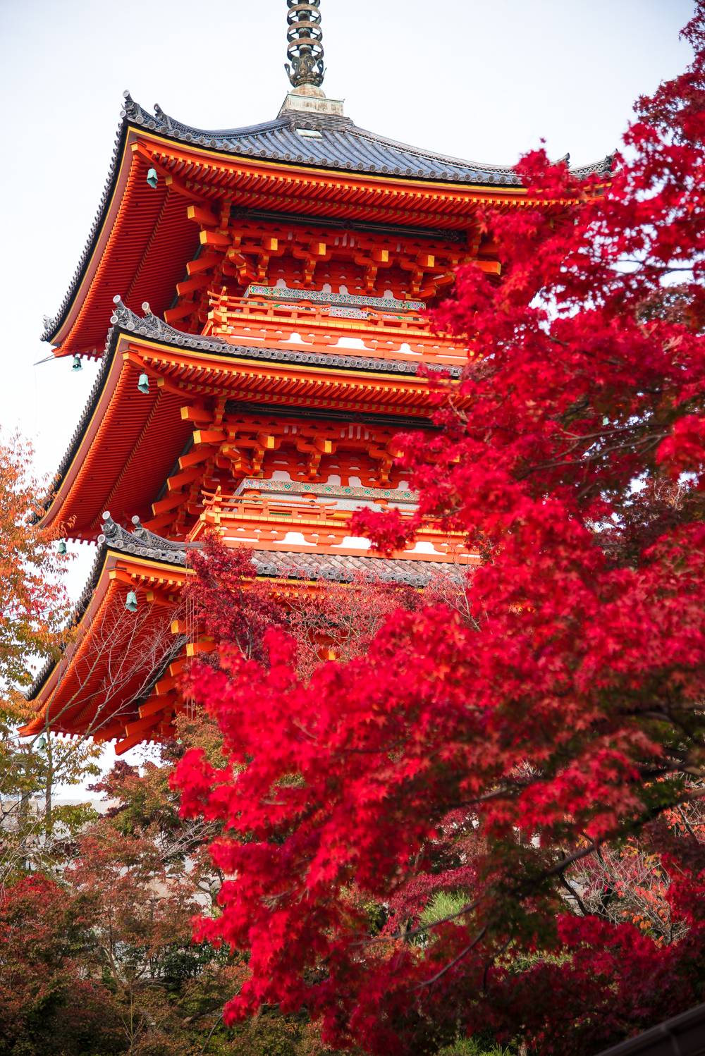 fall-in-kyoto-2