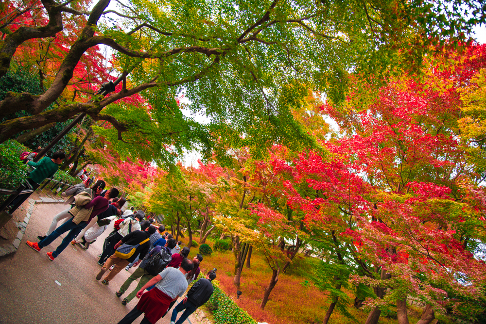 fall-in-kyoto-21