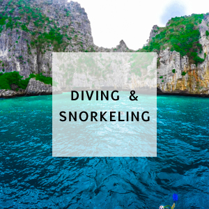 Diving-&-Snorkeling